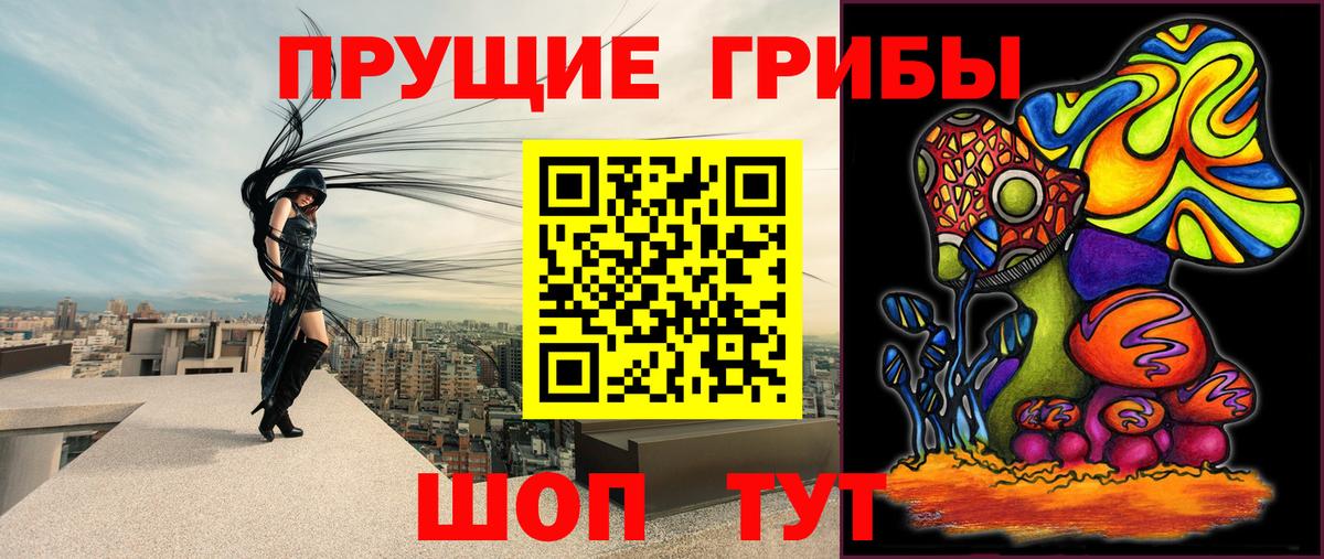 Галлюциногенные грибы Magic Shrooms Сургут