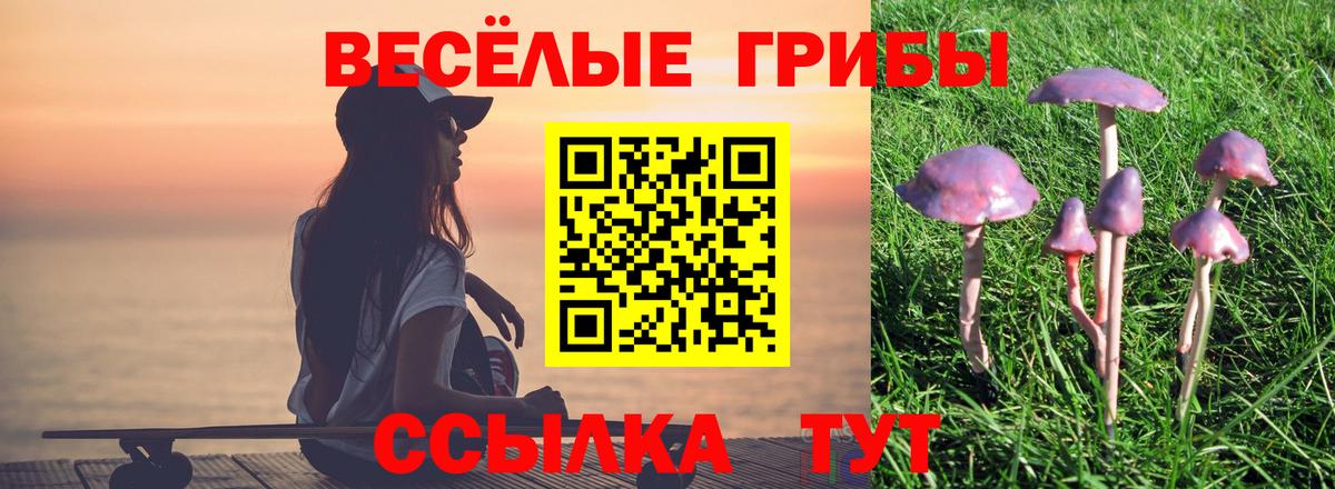 Галлюциногенные грибы ЛСД  Вход с VPN  Сургут  где купить наркотик  Псилоцибиновые грибы Cubensis 